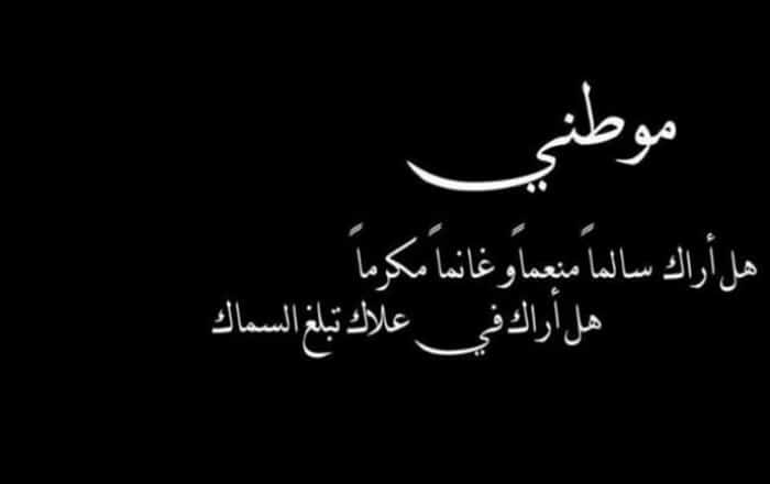كلام عن سراق الوطن
