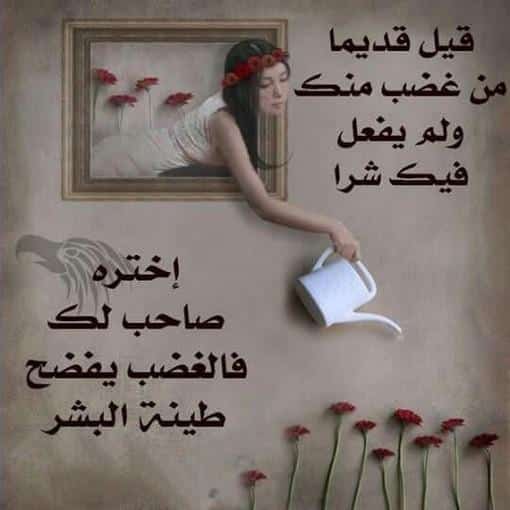 كلام يهز المشاعر في الحب