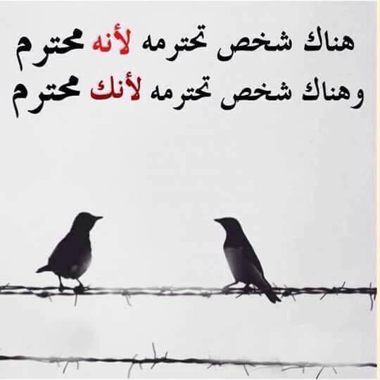 كلمات لمن لا يستحق الاحترام