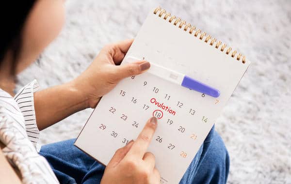 متى تبدأ إفرازات الحمل بعد التبويض