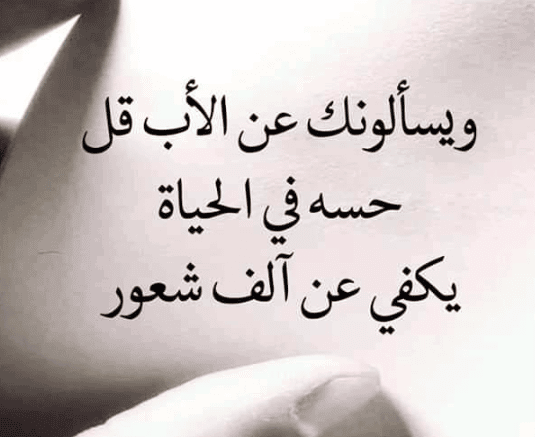 كلام في الصميم عن الحياة 