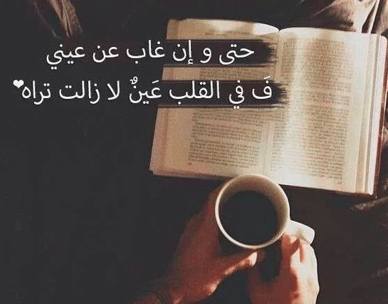 كلام في الصميم عن الحب