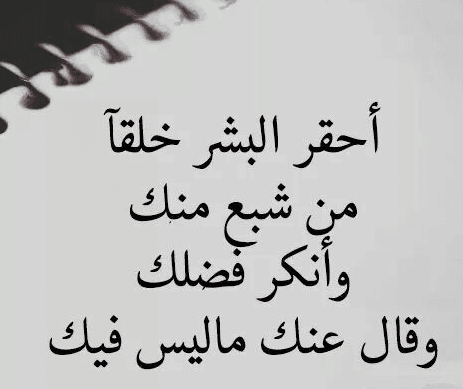 عبارات عن حقيقة الناس