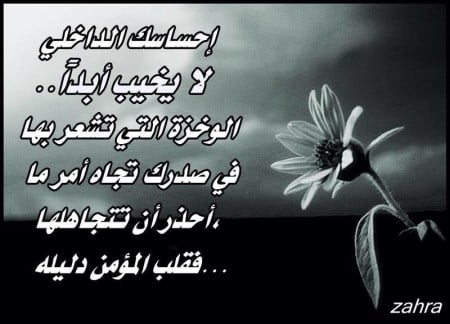 اقوال وحكم بالصور عن الحياة 5