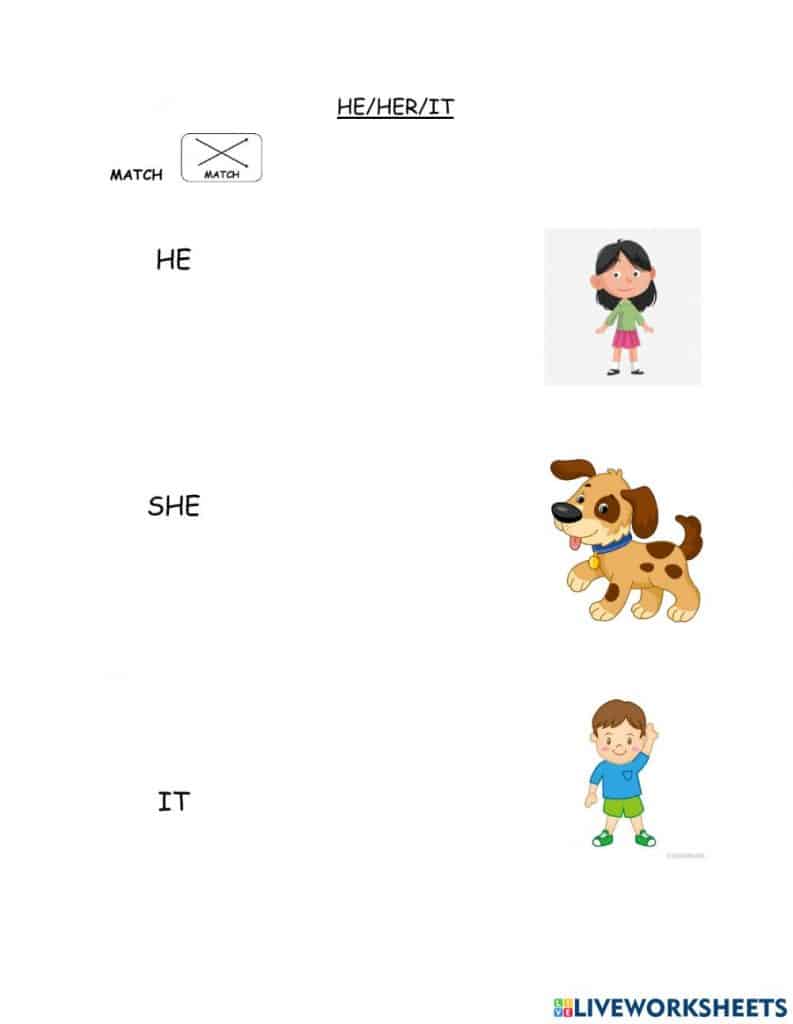 تدريبات على he she it  1