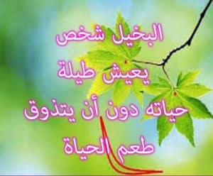 شعر وصف البخيل