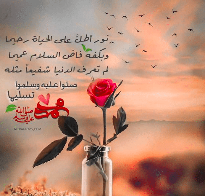 ستـوري واتس مكتوبة 2