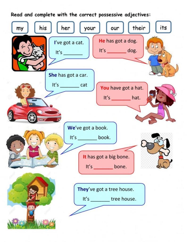 تدريبات على possessive adjectives 1