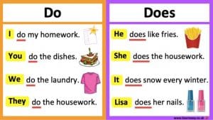 تدريبات على do does