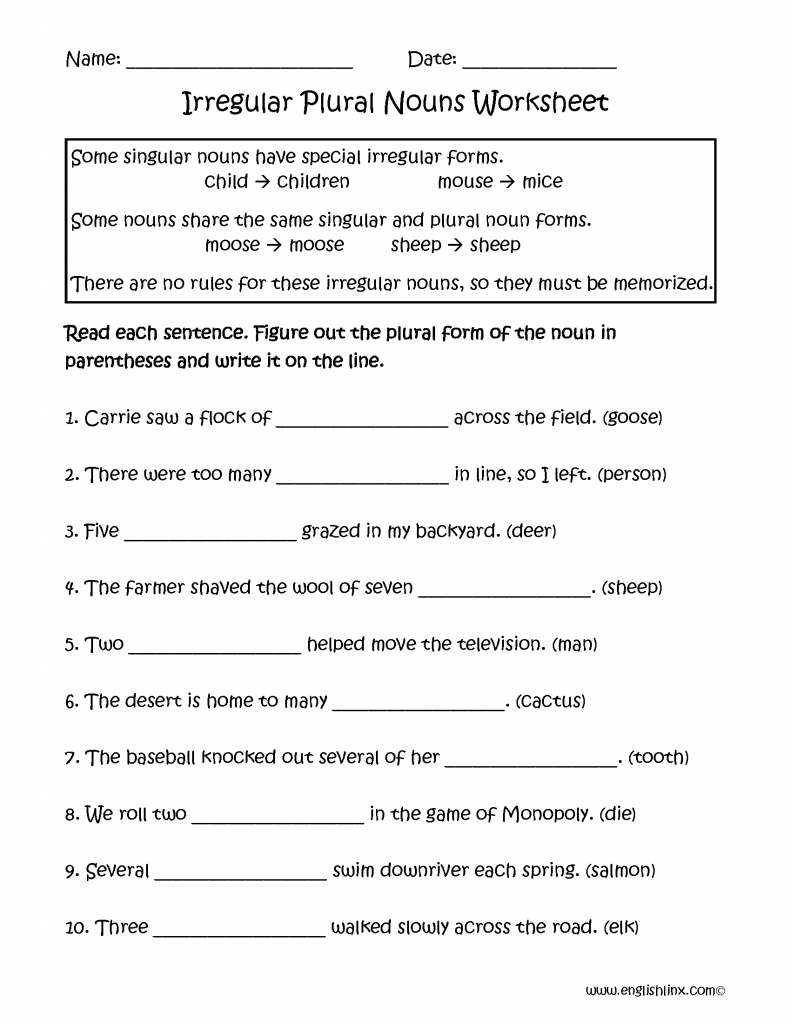 تدريبات على singular and plural 2