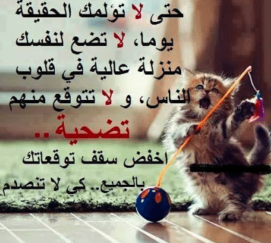 أمثال بالصور وحلها 4