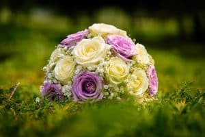 حالات واتس اب جديد شديد