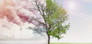 بحث جامعي عن التلوث البيئي