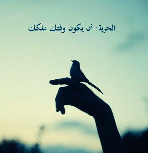 كلمات عن الحرية
