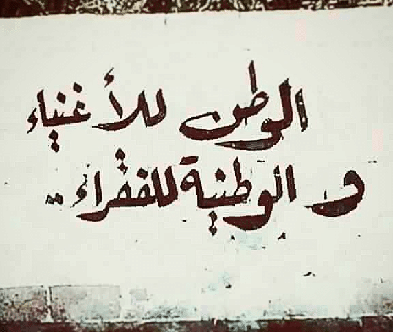 أمثال شعبية عن حب الوطن