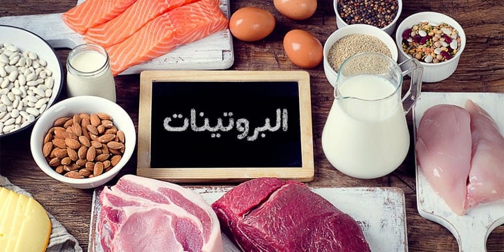بحث جامعي عن البروتينات