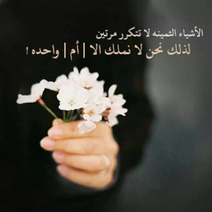 ستوري واتساب كلام 1