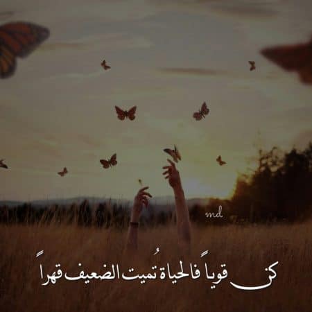 ستـوري واتساب 5