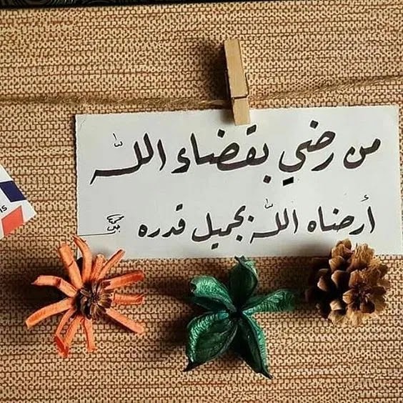 ستـوري واتساب كلام 1