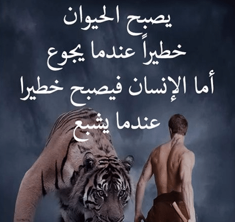 حكم وامثال بالصور عن الناس 5