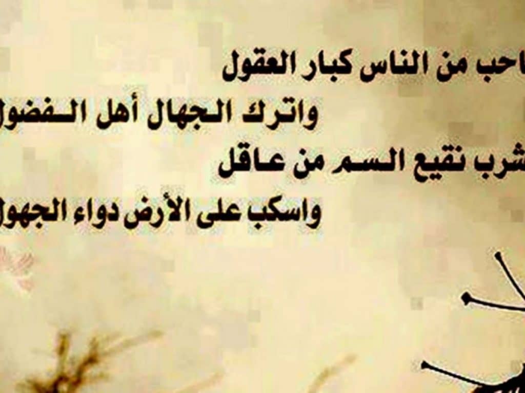 ستـوري واتساب كلام 3