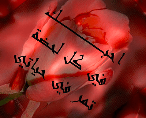 حبيبي أحبك للابد