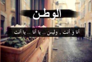 أمثال شعبية عن حب الوطن