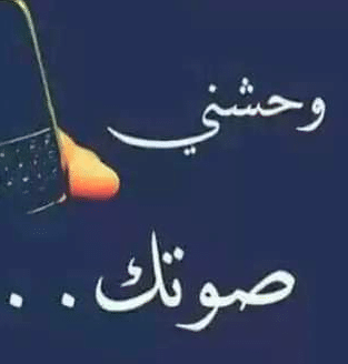 رسائل وحشني صوتك