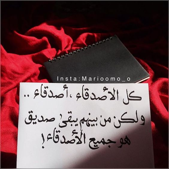 كلمات عن الصداقة والمواقف