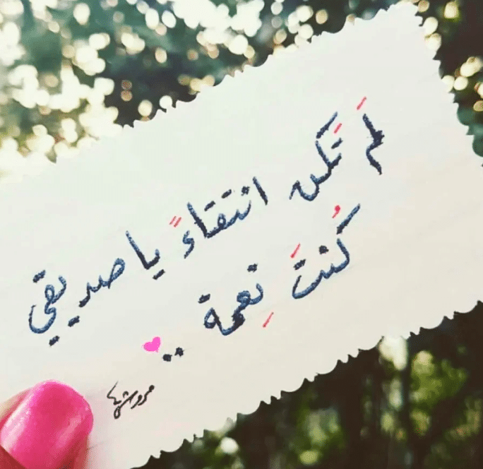 كلام عن الصداقة قصير