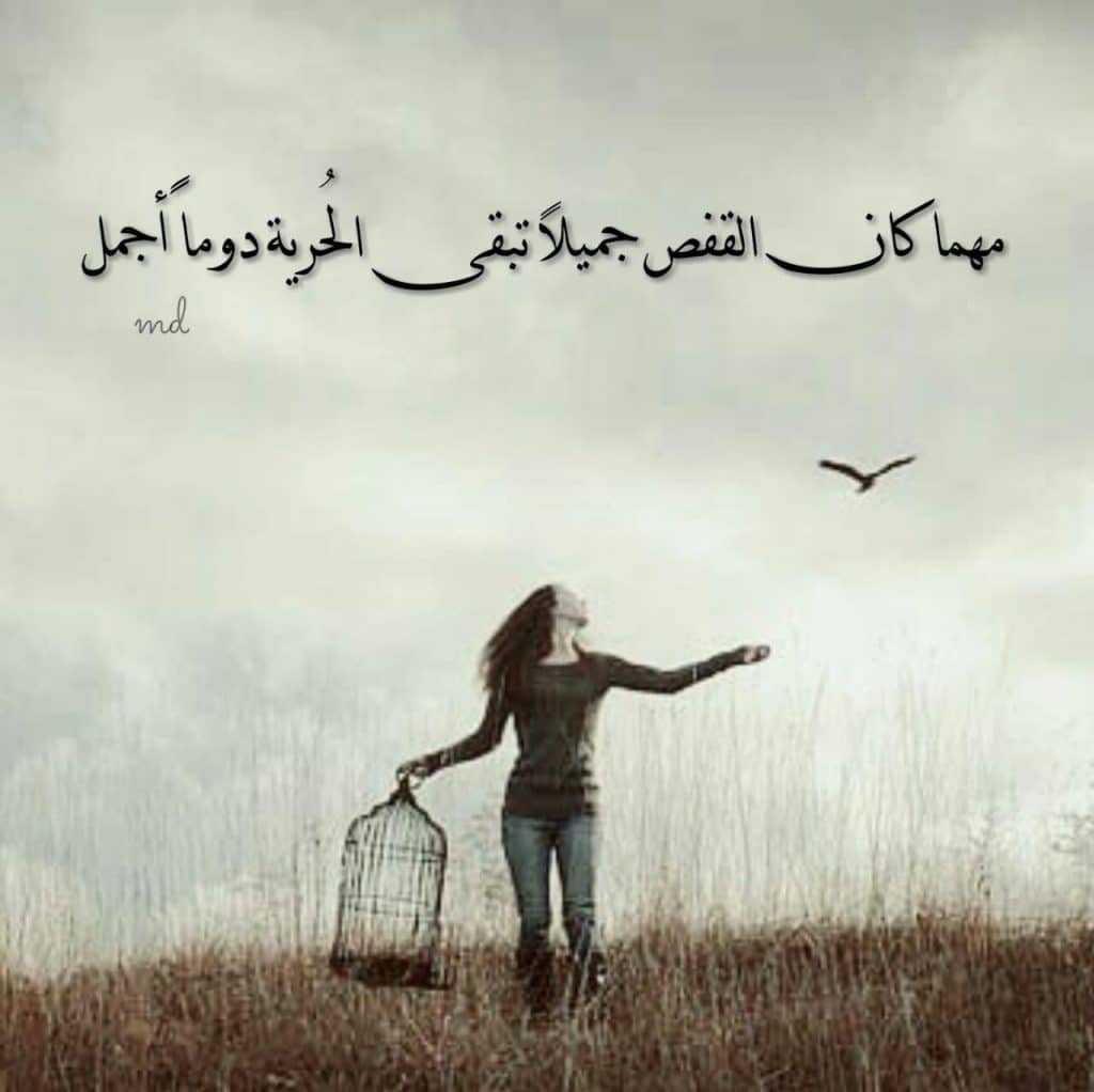 كلام عن الحرية والحب