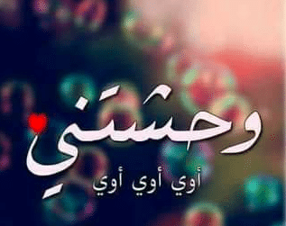 رسائل وحشتني مصرية