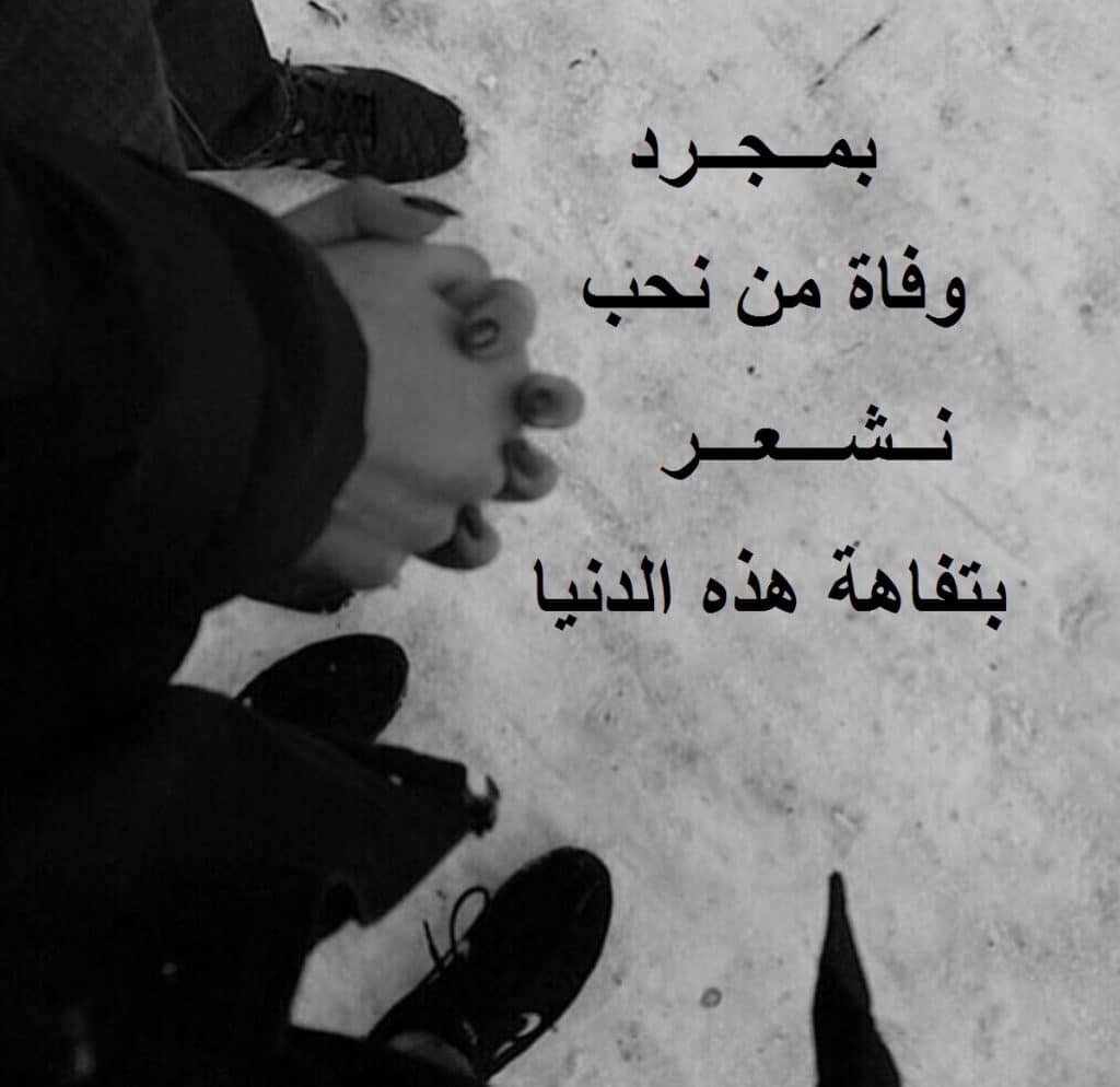 ستوري واتساب كلام 5