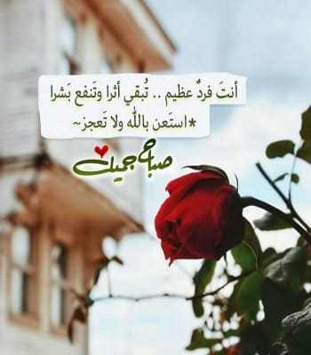 كلام حب جميل ورومانسي في الصباح