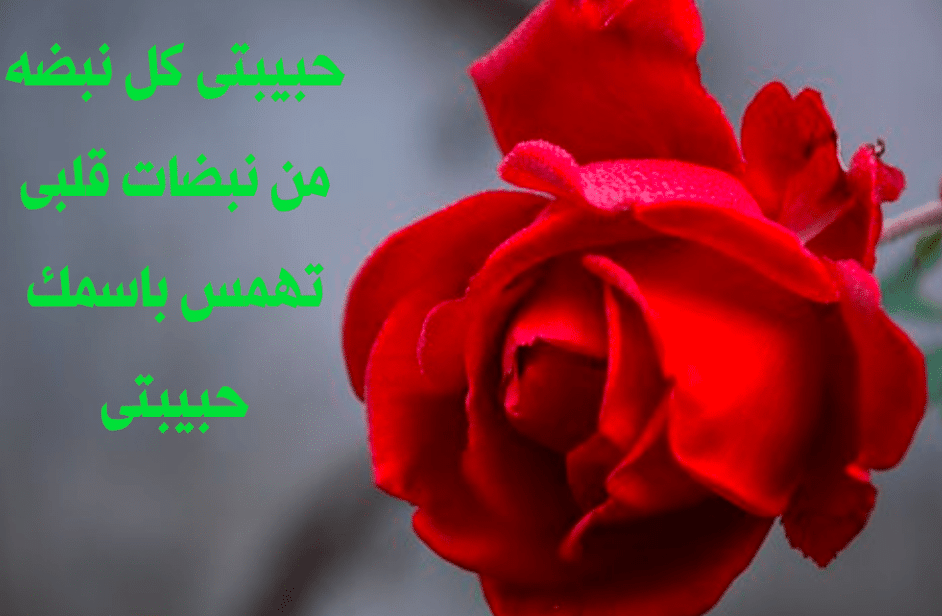 رسائل حب مكتوبة لحبيبتي