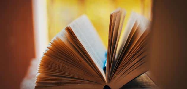 بحث جامعي عن النابغة الذبياني