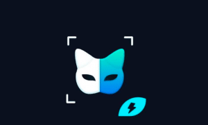كيفية استخدام face play