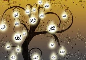 كيفية استخدام أسماء الله الحسنى