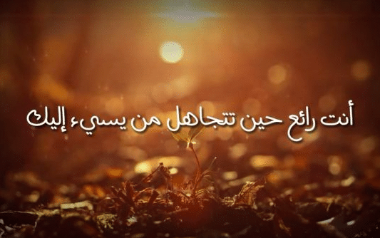 حالات عن التجاهل وعدم الاهتمام 3
