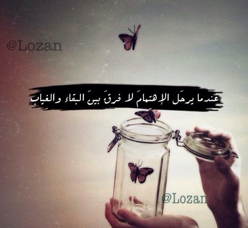 حالات عن التجاهل وعدم الاهتمام 4