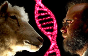 إيجابيات وسلبيات الكائنات المعدلة وراثيا ogm
