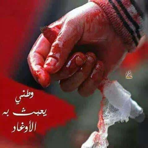 جرح الوطن ينزف 4