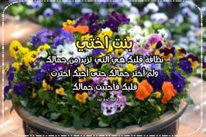 تغريدات عن بنات الاخت