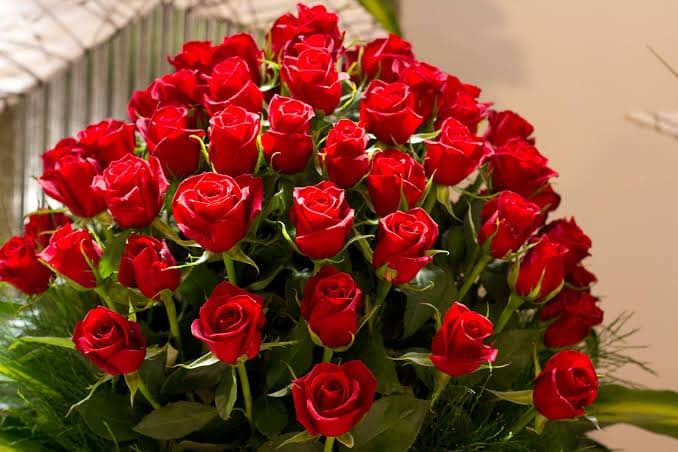اذا احد قال تشرفنا وش ارد