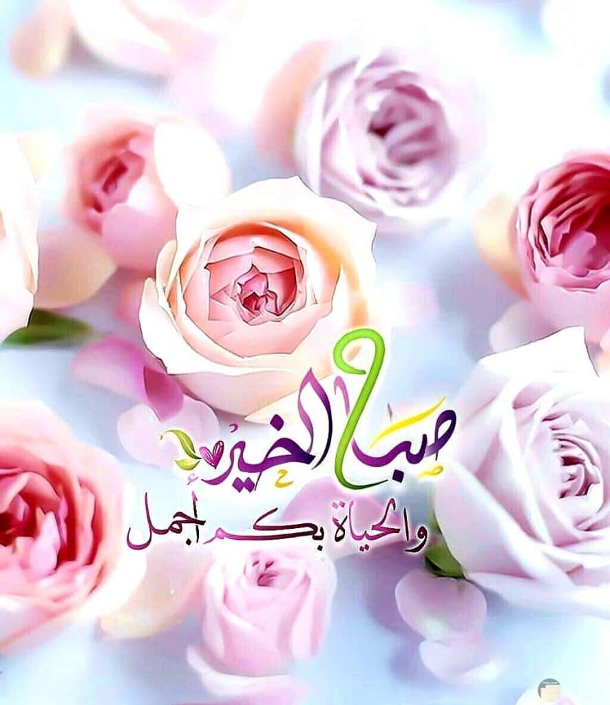 صباح الخير تويتر كلام حلو