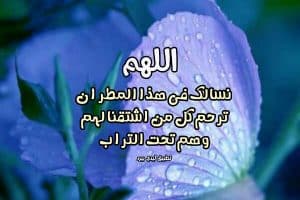 دعاء للميت في المطر