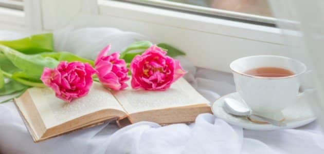 عبارات عن يوم جميل