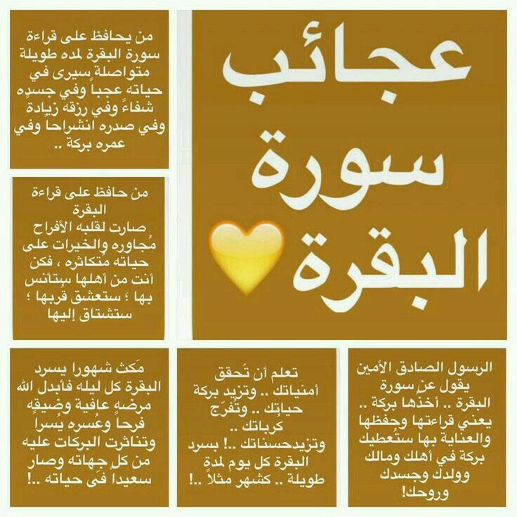 تغريدات عن سورة البقرة 1