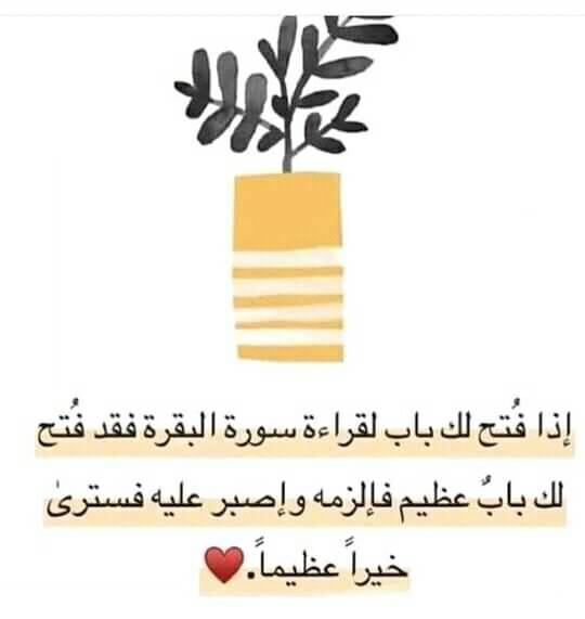 تغريدات عن سورة البقرة 3