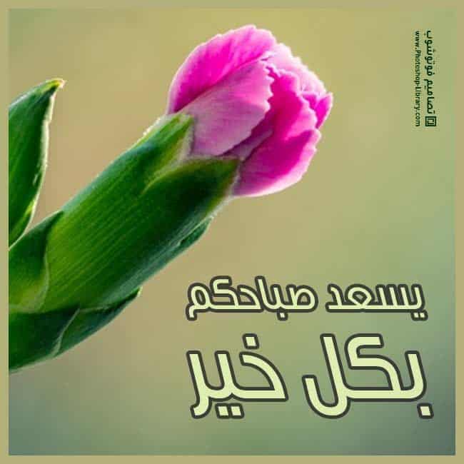 رد على يسعد صباحك